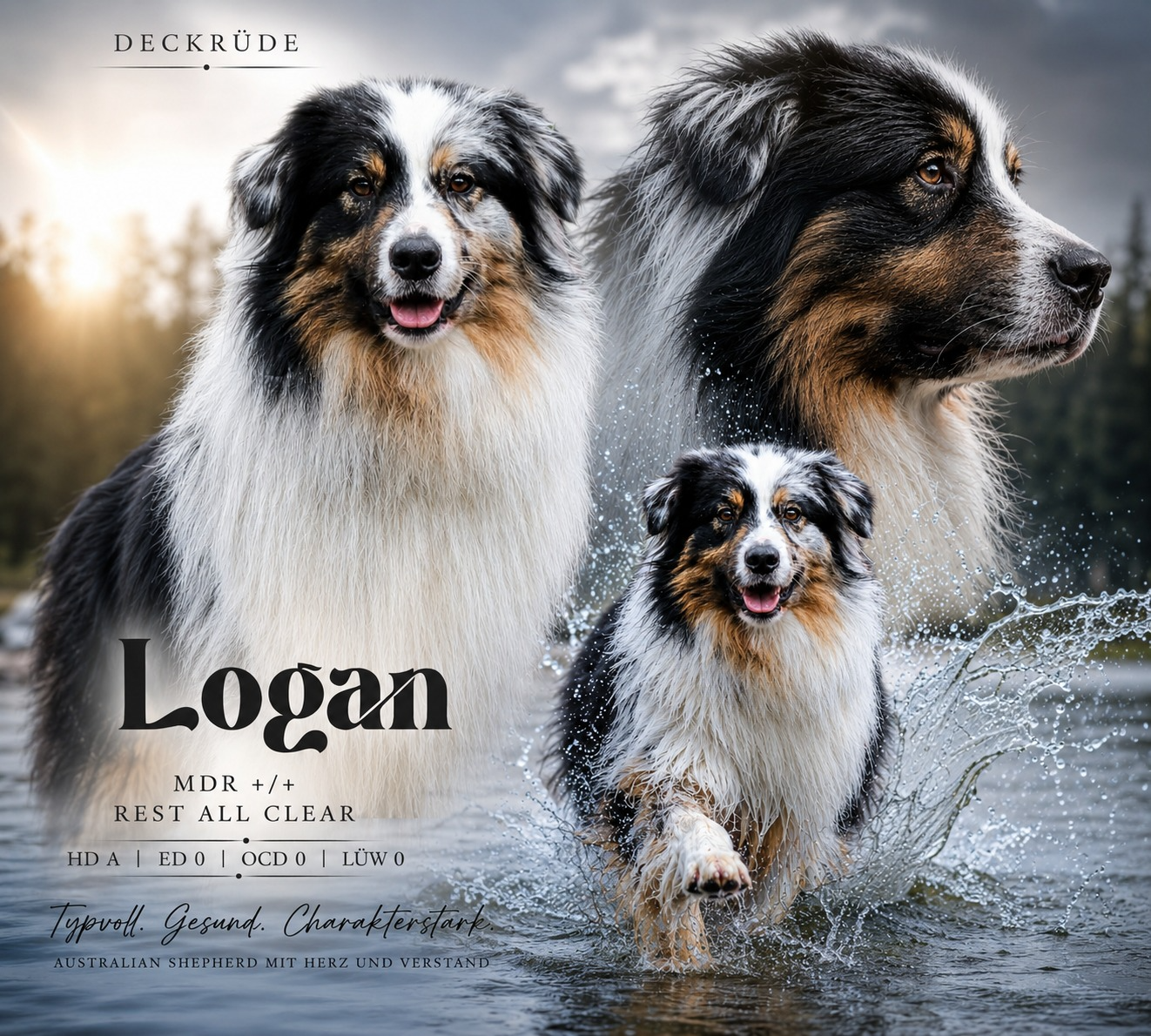 Logan
