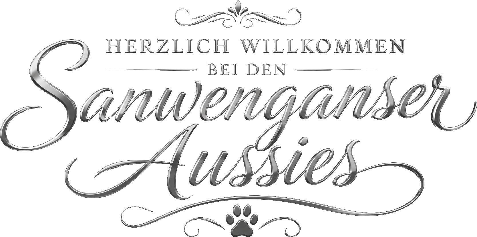 Sanvenganza Aussies