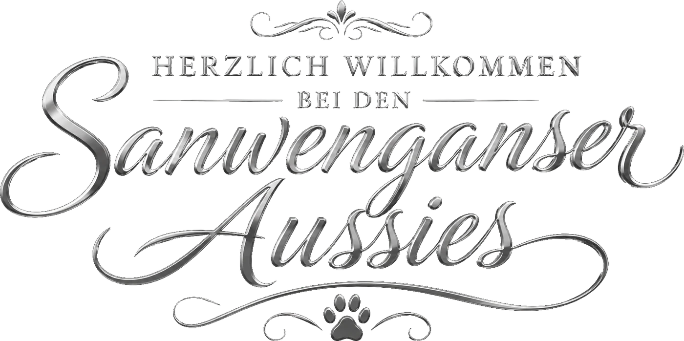 Sanvenganza Aussies
