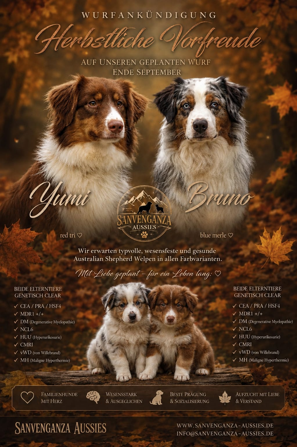 Wurfankündigung Yumi und Bruno